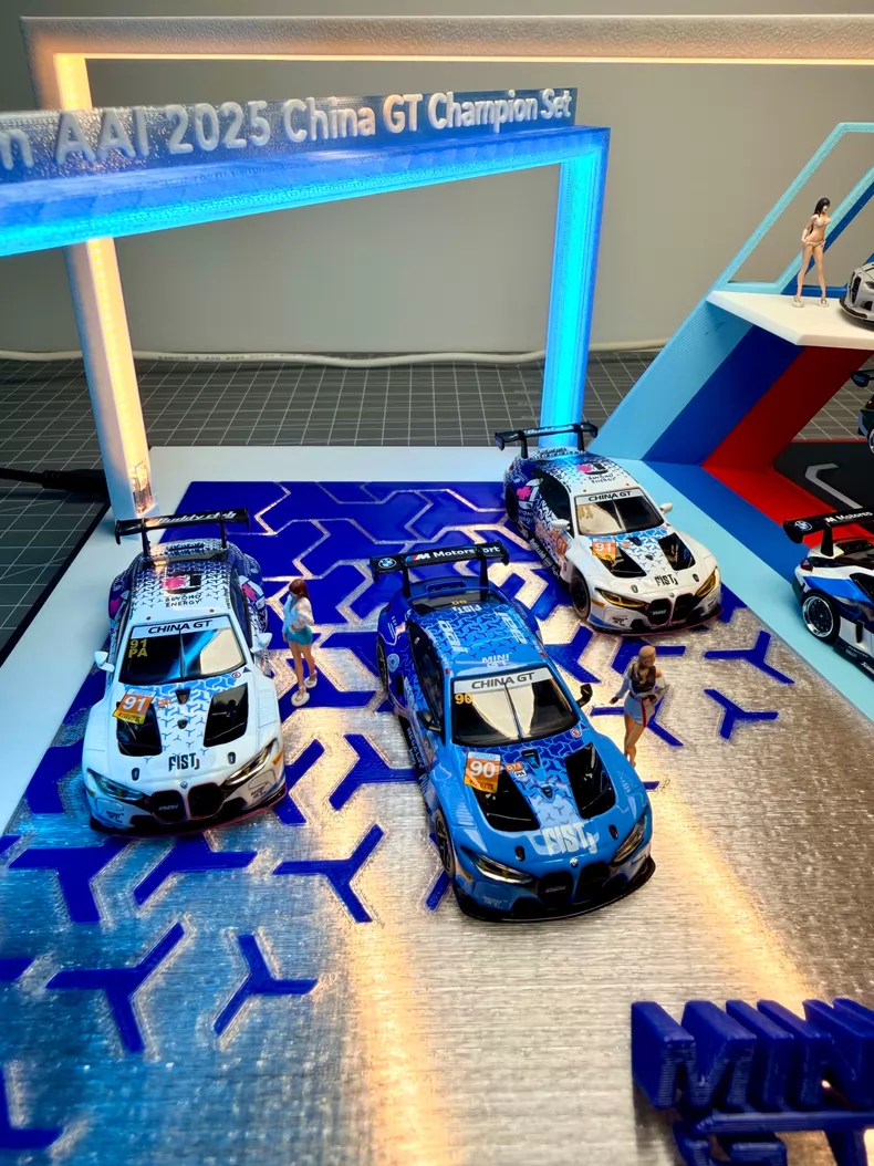 wylfm4gt3 (5)